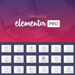 Elementor PRO WordPress Page Builder